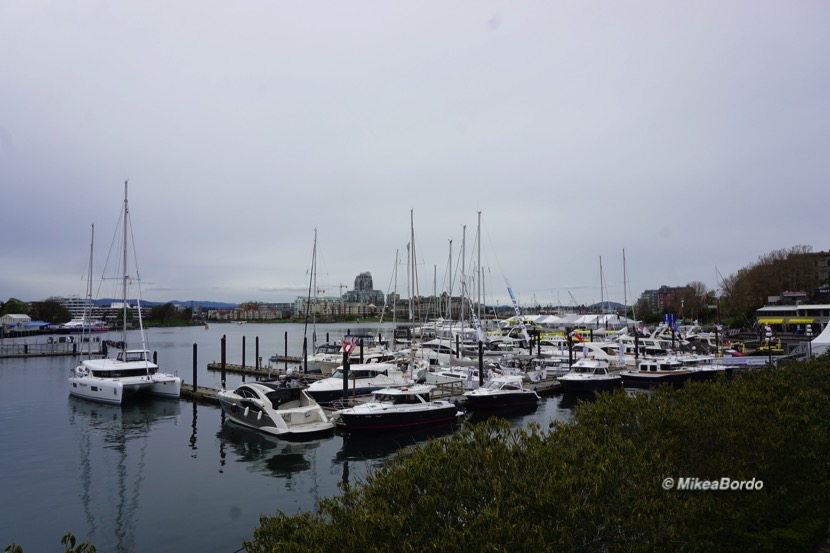 Un dia en Victoria Canada Daytrip From Vancouver to Victoria BC by car easiest way -9