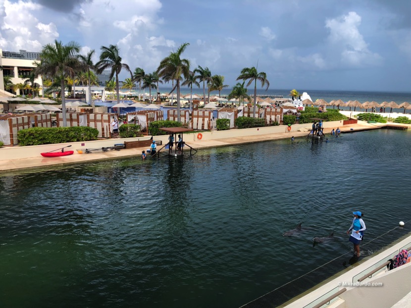 Hyatt Ziva Cancun All Inclusive Review Dolphins Recomendaciones Cancun-23