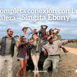 Una completa conexión con la naturaleza – Singita Ebony