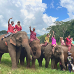 un grupo de personas junto a un elefante