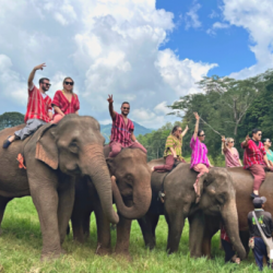 Cómo es un día en el Santuario de Elefantes, Chiang Mai