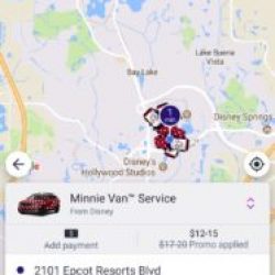 DISNEY LYFT MINNIE VANS ORLANDO-1